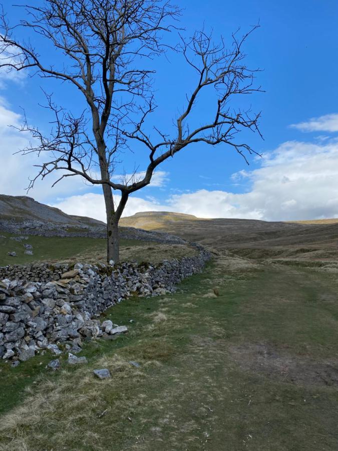 Marian Cottage Ingleton  Exteriör bild